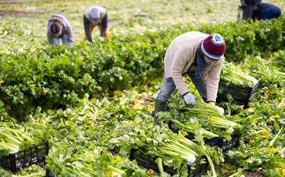 Most UK Farmers Say Uncertainty Over Extreme Weather Is Harming Their Business