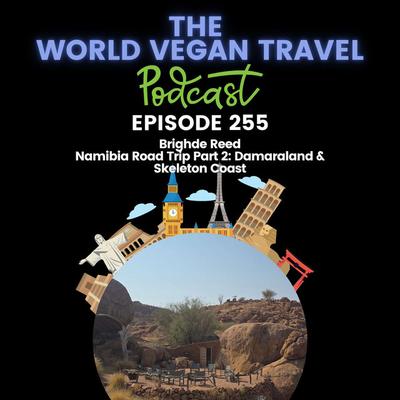 Namibia Road Trip Part 2: Damaraland & Skeleton Coast | Brighde Reed