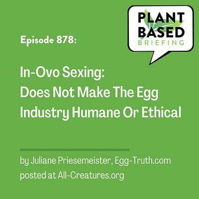 878: In-Ovo Sexing: Does Not Make The Egg Industry Humane Or Ethical by Juliane Priesemeister, Egg-Truth.com posted at All-Creatures.org
