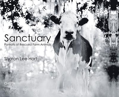 Sharon Lee Hart: Sanctuary: Portraits of Rescued Farm Animals