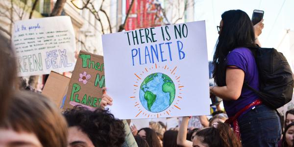 The Environmental Impact of a Vegan Diet: Key Research on Climate, Land Use, and Sustainability