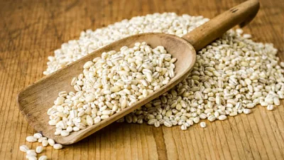 Barley