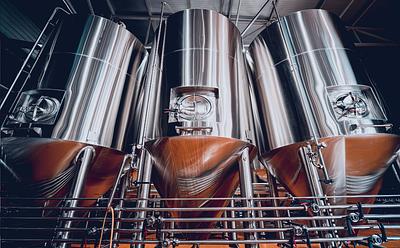Fermentation Leads Investments In Plant-Based Sector In 2024
