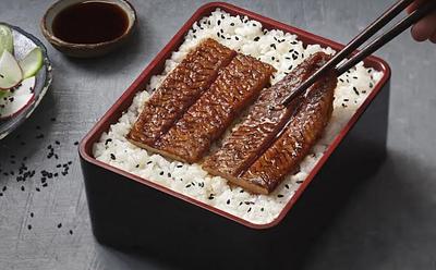 Company Creates Scaleable And Cost-Effective Cultivated Eel