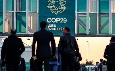 Meat And Dairy Products Mislabeled As Vegan And Vegetarian At COP29
