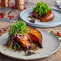 Vegan Roasted Sweet Basil Squash With Wild Rice and Mustard Greens Salad