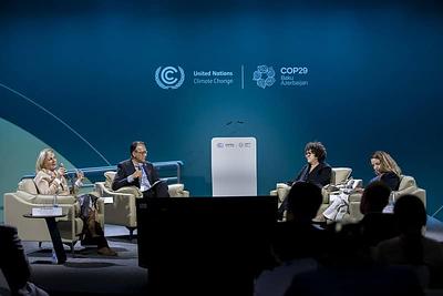 World Leaders Urged to Commit to Transitioning Away From Meat & Dairy at COP29