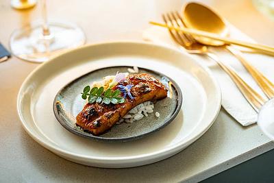Forsea Achieves “Record-Breaking” Cell Density in Cultivated Eel Prodution