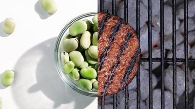 5 Companies Producing the Protein Isolates Behind the New Fava Bean-Based Alternatives