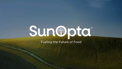 SunOpta’s Q3 Revenue Rises 16% as Volume and New Business Drive Gains