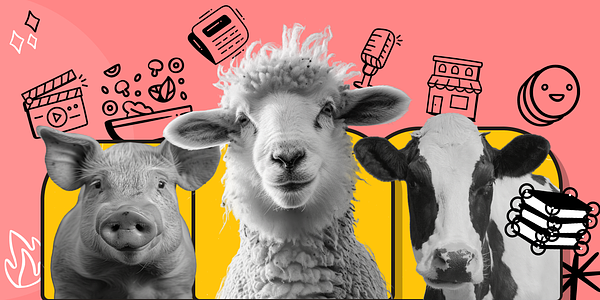 A Fresh New Version of VeganHub: Your Ultimate Vegan Resource