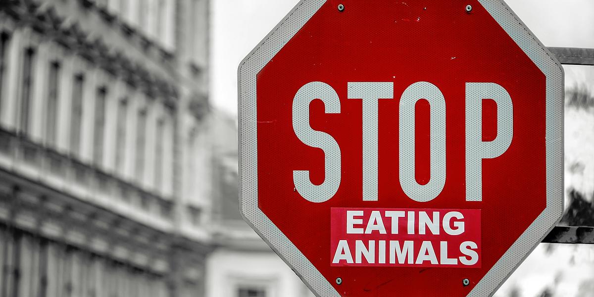 Why Go Vegan? Part 1: Choosing Compassion for Animals