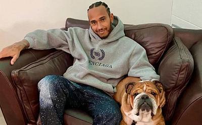 Lewis Hamilton’s Dog Is ‘Like A Puppy Again’ On Plant-Based Diet