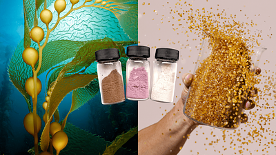 Umaro and Sway Receive $1.5M Dept. of Energy Grant to Turn Seaweed Waste into Sustainable Bioplastics