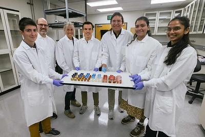 Stanford Engineers Develop 3D Texture Tests to Make Plant-Based Meat with “Precisely Desired” Properties