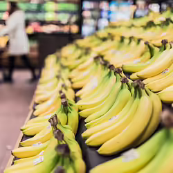 ‘Lonely’ Bananas Can Reduce Food Waste, New Research Finds