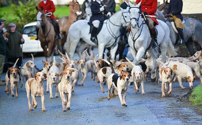 ‘Cruelty, Chaos, And Criminality’ Rife Ahead Of Hunting Season, Charity Says