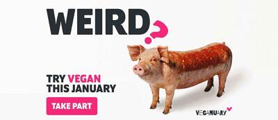 ‘Weird?’ asks Veganuary in provocative ads questioning the strange reality of food ‘norms’